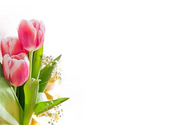 Decoración Los Tulipanes Primaverales Tiempo Pascua Imágenes De Stock Sin Royalties Gratis