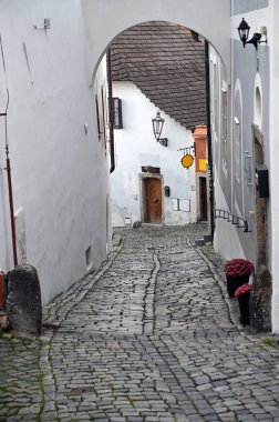 Cesky Krumlov Çek Cumhuriyeti 'nde eski dik bir taş sokak.