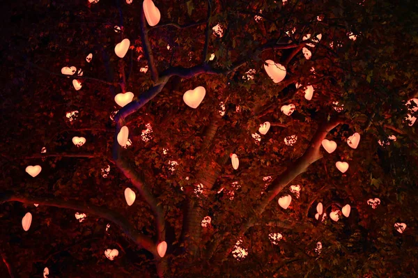 Árbol Iluminado Con Luces Forma Corazón Los Mercados Navideños Viena — Foto de Stock