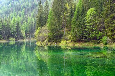 Sudaki ormanın yansıması, Avusturya, Styria 'daki Yeşil Göl.