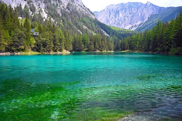 Πράσινη Λίμνη Στη Στυρία Αυστρία — Φωτογραφία Αρχείου