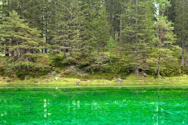 Wunderschönes Smaragdgrünes Klares Wasser Der Grüne See Der Steiermark Österreich — Stockfoto