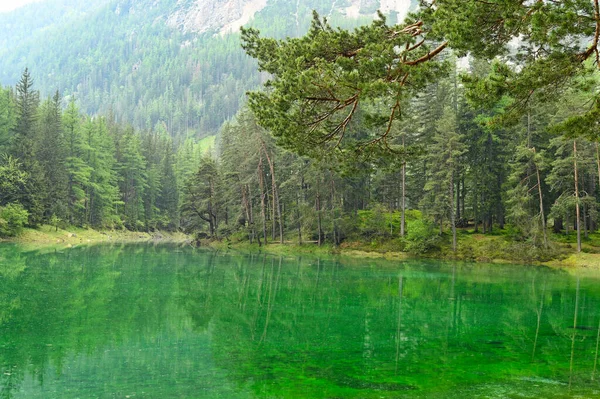 Πράσινη Λίμνη Στη Στυρία Της Αυστρίας Θερινή Περίοδος Τοπίου — Φωτογραφία Αρχείου