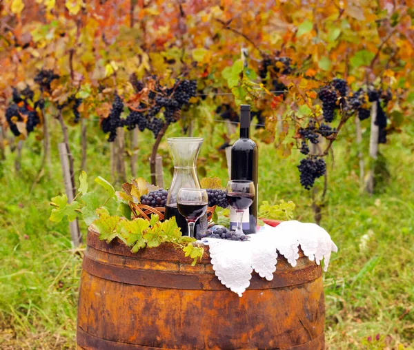 ブドウとワインの秋の季節とブドウ畑 — ストック写真