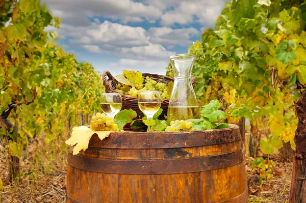 Herbstzeit Für Weißwein Und Trauben Stockfoto