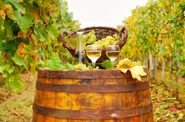 木製の樽の秋のシーズンにブドウと白ワインとバスケット — ストック写真