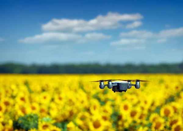 The drone is flying over the sunflower field summertime