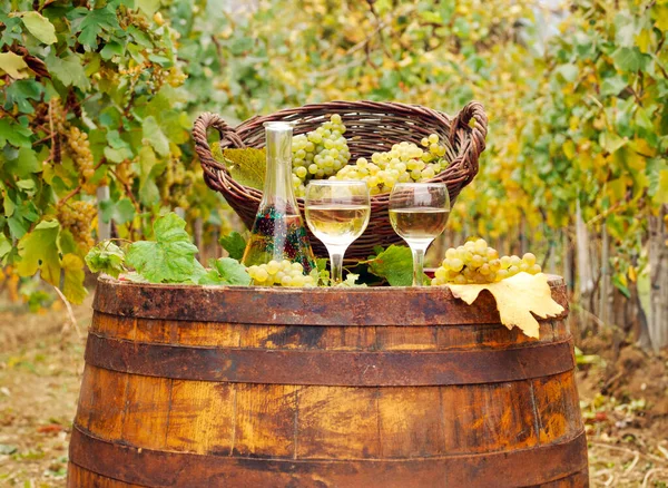 Vinho Branco Uvas Barril Madeira — Fotografia de Stock