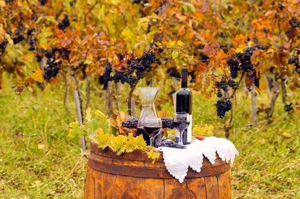 Rotwein Und Trauben Auf Holzfässern Herbstsaison lizenzfreie Stockfotos