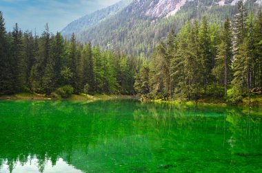 Avusturya, Styria 'daki Yeşil Göl ve dağlar, manzara bahar mevsimi