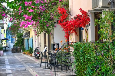 Nafplion şehrinin dar sokaklarında Bougainvillea çiçekleriyle dolu eski evler.