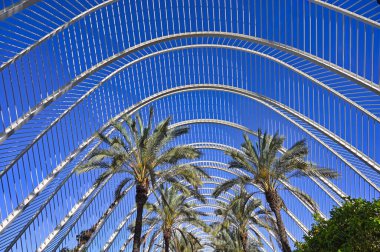 Valencia 'da palmiye ağaçları olan Umbracle bahçesi, yaz mevsimi.