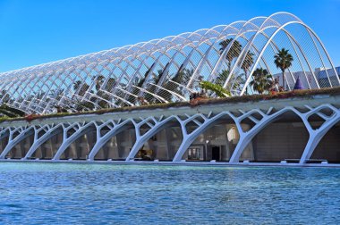 Valencia, İspanya 'da yaz mevsiminde palmiye ağaçları olan Umbracle bahçesi