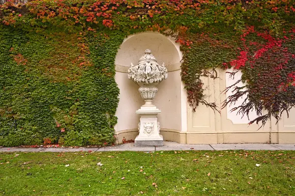 stock image Old stone statue and wall cowered with creeper plant,autumn season, Vienna, Austria