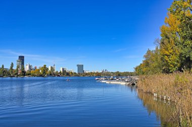 Viyana ve Donau nehrinin silueti, sonbahar mevsimi