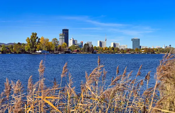 stock image Donau river in autumn landscape, Vienna cityscape,Austria