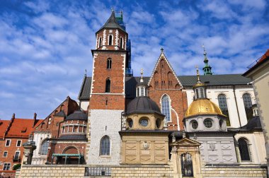 Krakow Polonya 'daki Kraliyet Katedrali Wawel Kalesi, St. Stanislaus Kralı Casimir