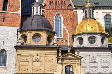 Krakow Polonya 'daki Kraliyet Katedrali Wawel Kalesi detayı