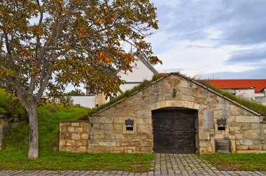Purbach, Burgenland, Avusturya 'daki taş şarap mahzeni, sonbahar mevsimi.