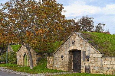 Stone wine cellars in Purbach, Burgenland,Austria,autumn season clipart