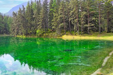 Avusturya, Styria 'daki Yeşil Göl, bahar mevsimi.