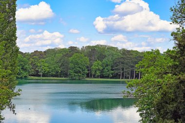 Laxenburg Parkı 'nda göl, bahar mevsimi, Avusturya