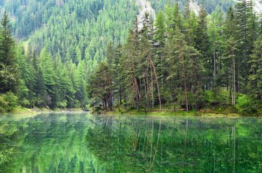 Avusturya, Styria 'daki Yeşil Göl, bahar mevsimi.