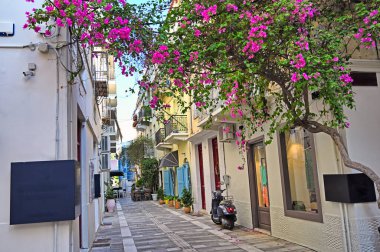 Nafplion şehrinin dar sokaklarında eski evler Bougainvillea çiçekleri, Yunanistan