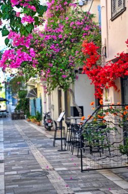 Nafplion şehrinin dar sokaklarında eski evler, Bougainvillea çiçekleri, yaz mevsimi