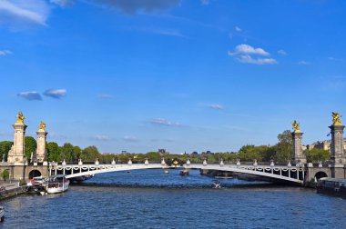 Alexander III Köprüsü Seine nehri üzerinde, Paris, Fransa
