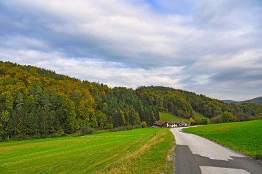 Aşağı Avusturya 'da tarlalar, ormanlar, tepeler ve çiftlikler, sonbahar mevsimi