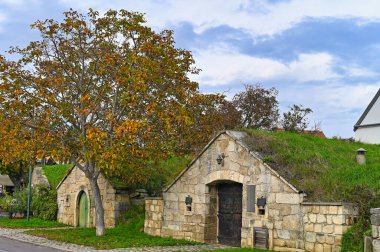 Purbach, Burgenland, Avusturya 'da sonbahar mevsiminde taş şarap mahzenleri