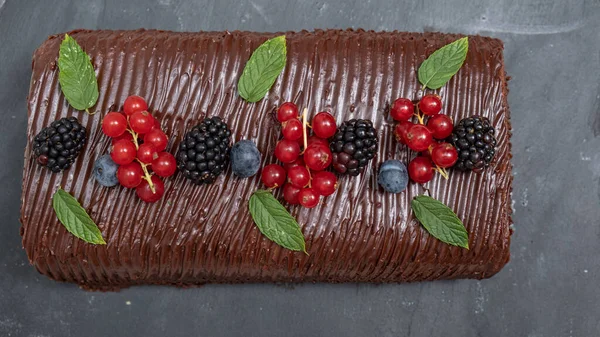 Chocolate Fruit Roll Cake Stock Picture