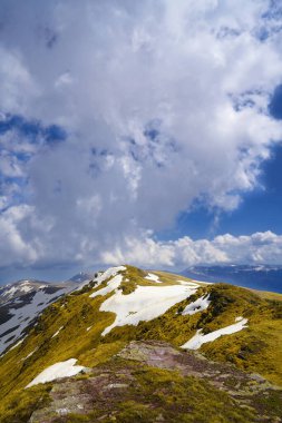 İlkbaharda çiçek açan çayırları ve karla kaplı dağ zirveleri olan Idyllic manzarası