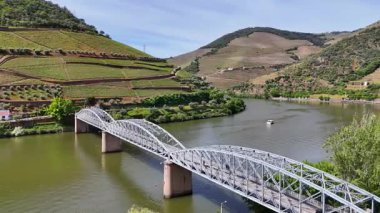 Güneşli bir günde teraslı Douro üzüm bağları, Douro, Vineyards, Portekiz