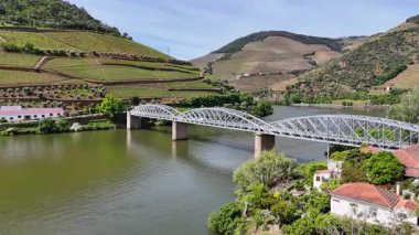 Güneşli bir günde teraslı Douro üzüm bağları, Douro, Vineyards, Portekiz
