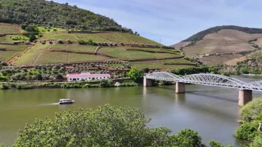 Güneşli bir günde teraslı Douro üzüm bağları, Douro, Vineyards, Portekiz