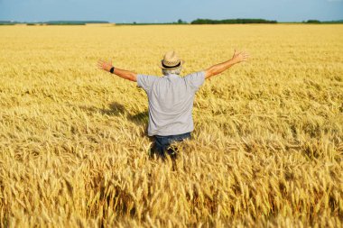 Şapkalı adam altın buğday tarlalarının arasında kollarını açmış bekliyor.