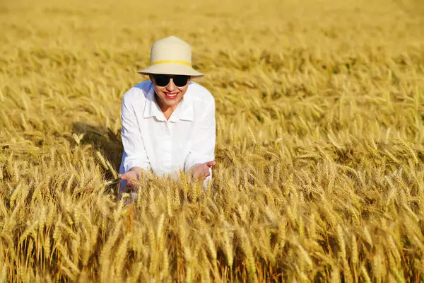 Altın buğday tarlasında beyaz elbiseli güzel bir kadın hasada hayran..