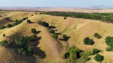 Sırbistan 'da Deliblato Sands manzarası