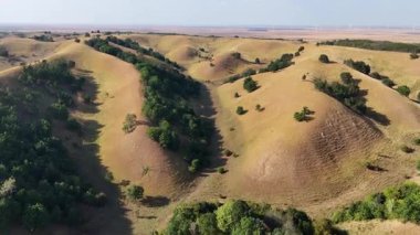 Sırbistan 'da Deliblato Sands manzarası