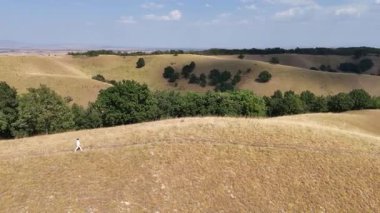 Sırbistan 'da Deliblato Sands manzarası