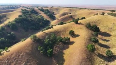 Sırbistan 'da Deliblato Sands manzarası