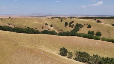 Sırbistan 'da Deliblato Sands manzarası
