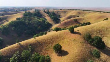 Sırbistan 'da Deliblato Sands manzarası