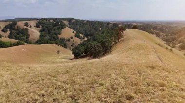 Sırbistan 'da Deliblato Sands manzarası