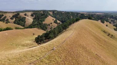 Sırbistan 'da Deliblato Sands manzarası