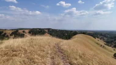 Sırbistan 'da Deliblato Sands manzarası