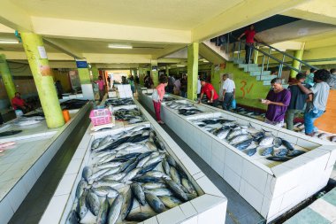 MALE MALDIVES ADALARI CIRCA ECTOBER 2016: İnsanlar balık pazarından taze balık satın alıyor. 