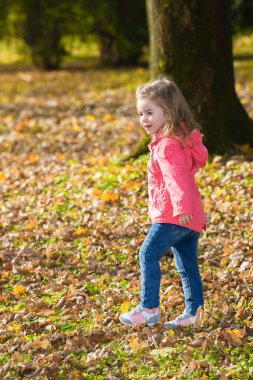 # Sonbahar yaprakları arasında yürüyen genç kız #